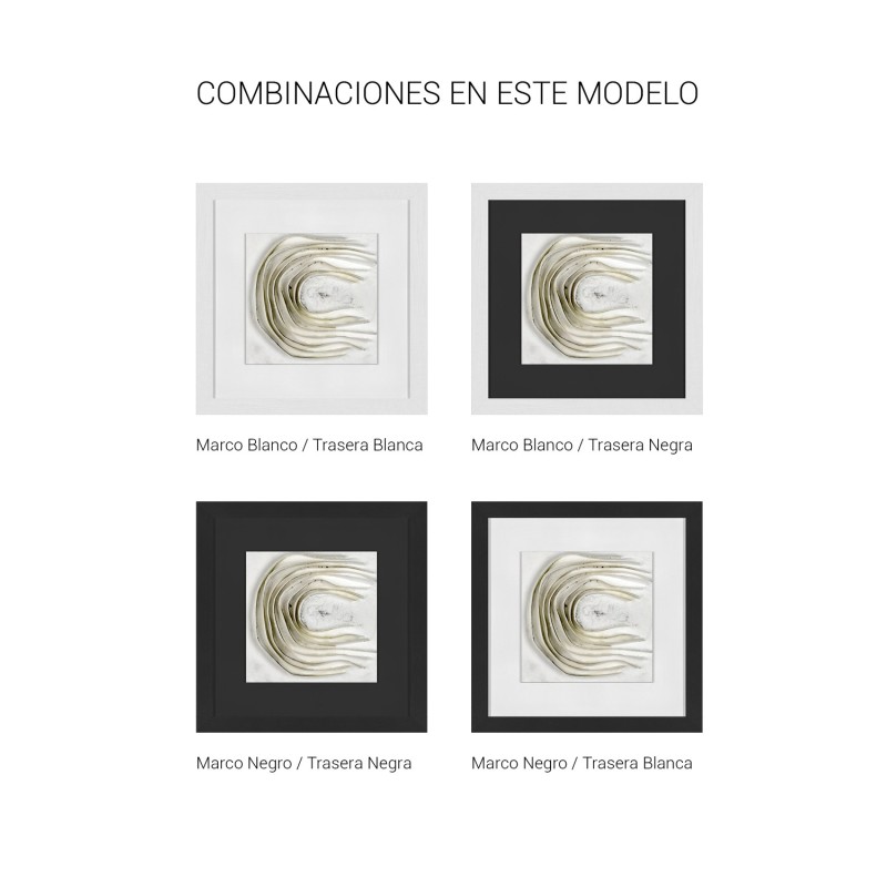 Argos Marco Blanco Poro